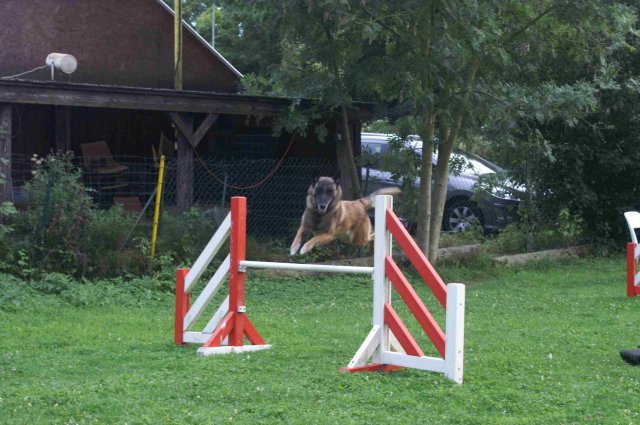 agility 2011-09